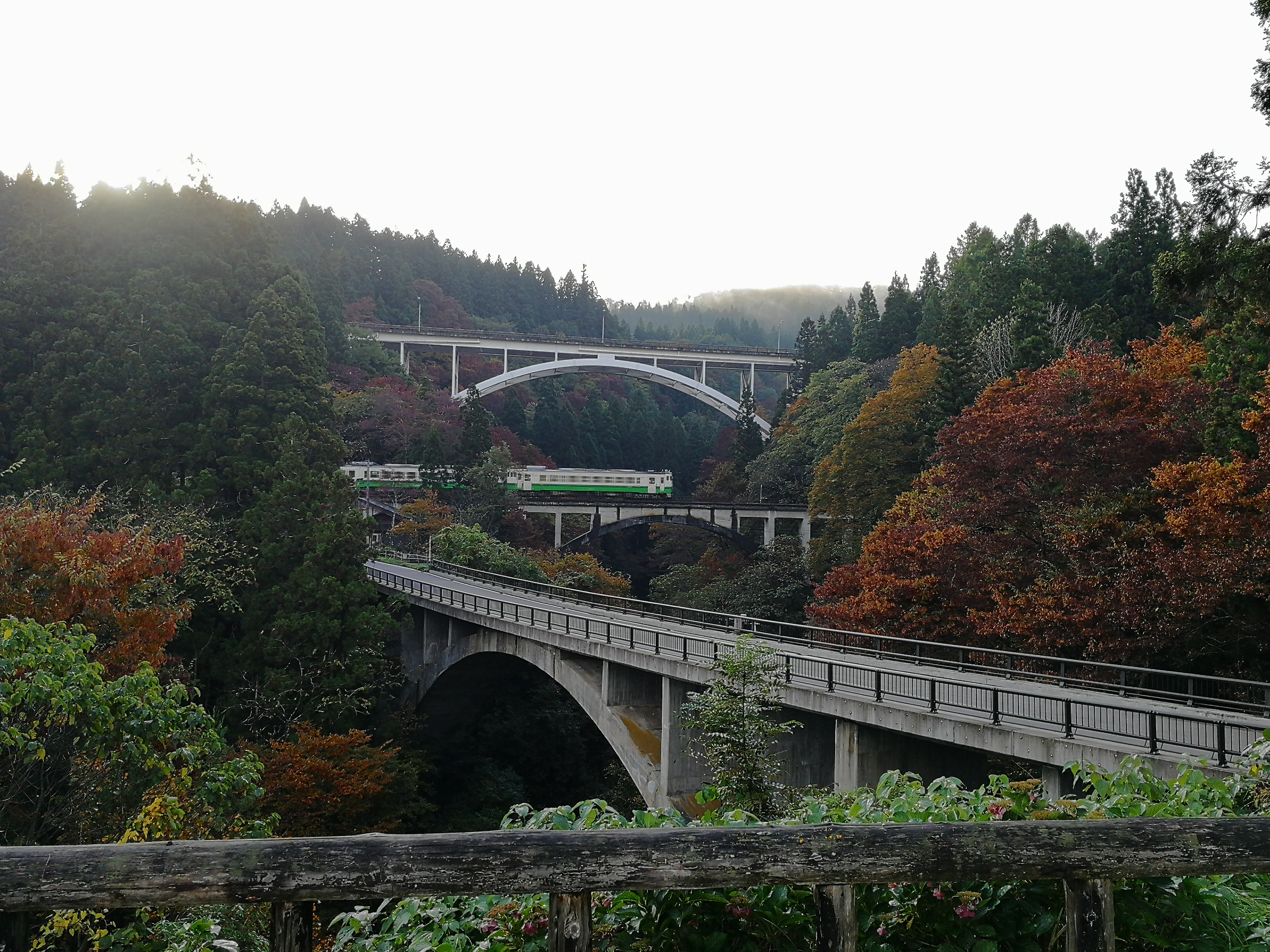 季節の画像　秋37
