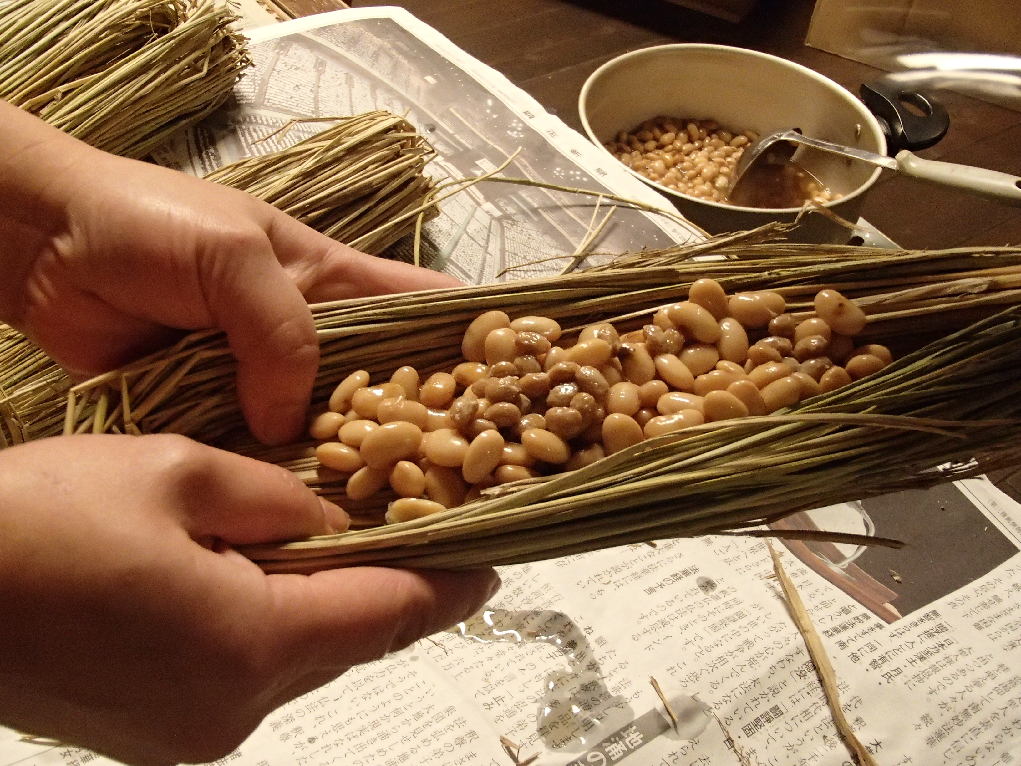 季節の画像　冬17