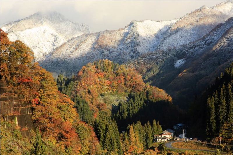 季節の画像　冬30