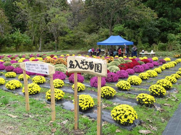 名入ざる匊園の写真1