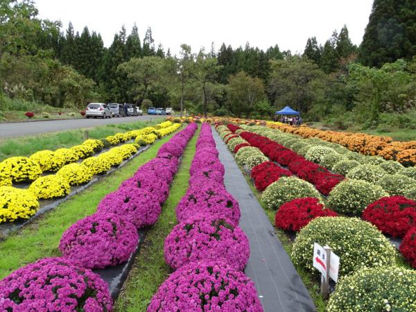 名入ざる匊園の写真2