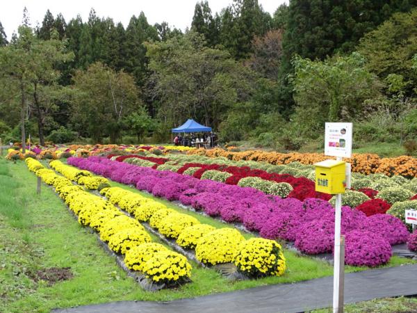 名入ざる匊園の写真4