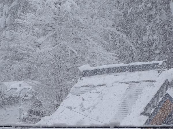 雪が降っている様子1