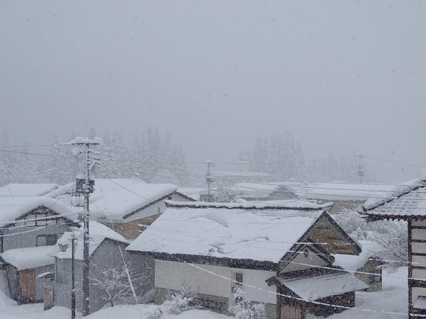 雪が降っている様子2