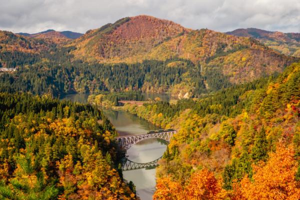 町内の紅葉の写真1