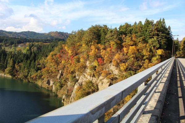 町内の紅葉の写真2