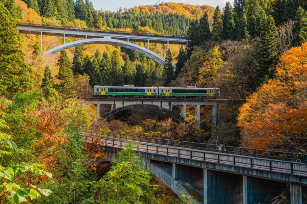 町内の紅葉と電車の写真