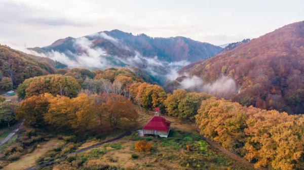 町内の紅葉の写真3