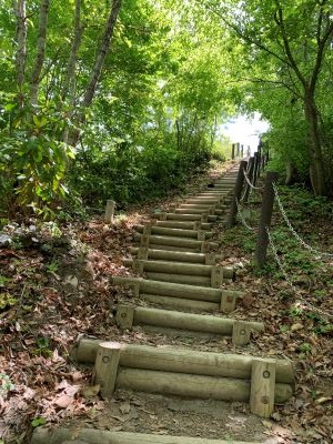 Viewpointへの階段の画像