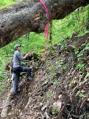 登山道整備1-8