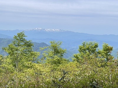 登山道整備1-11