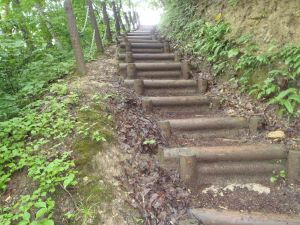 D地点への階段の画像