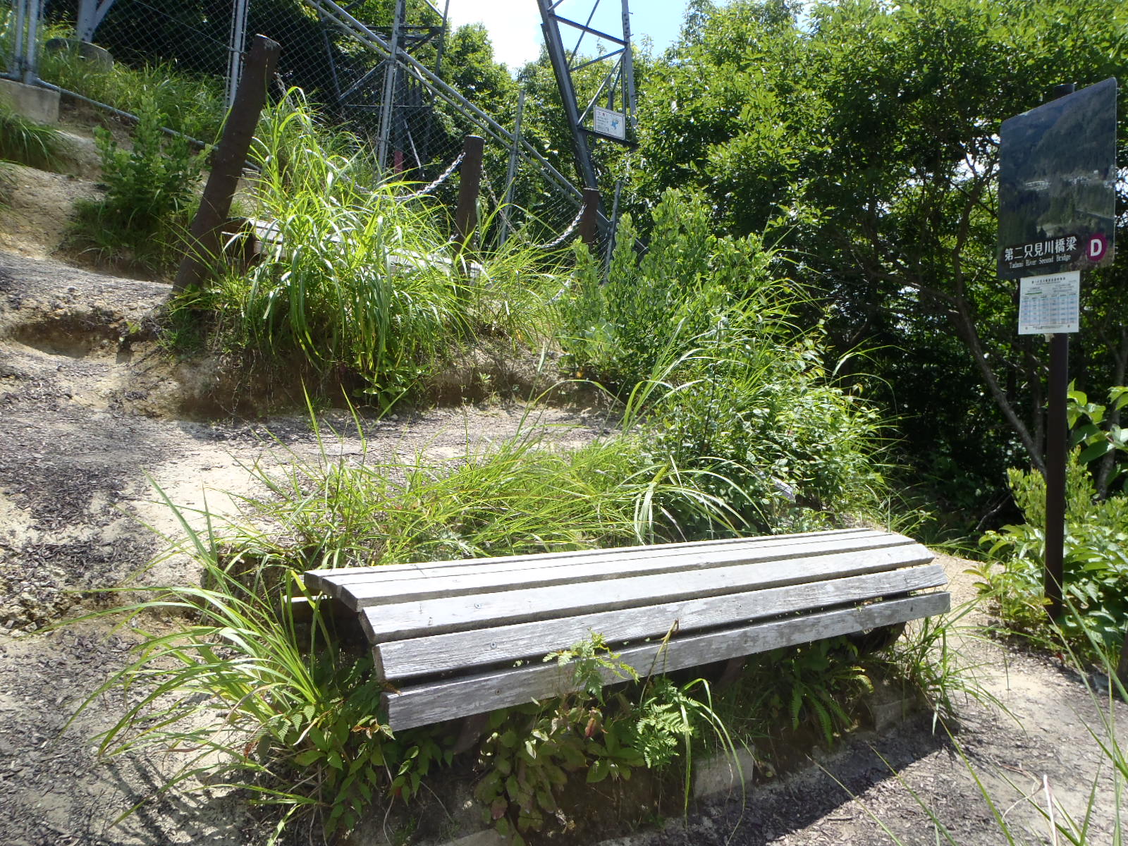 Dポイントの画像