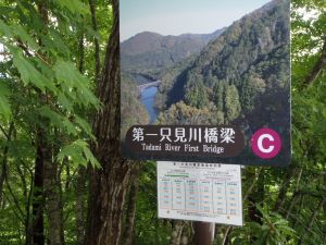 ビューポイントC地点の画像