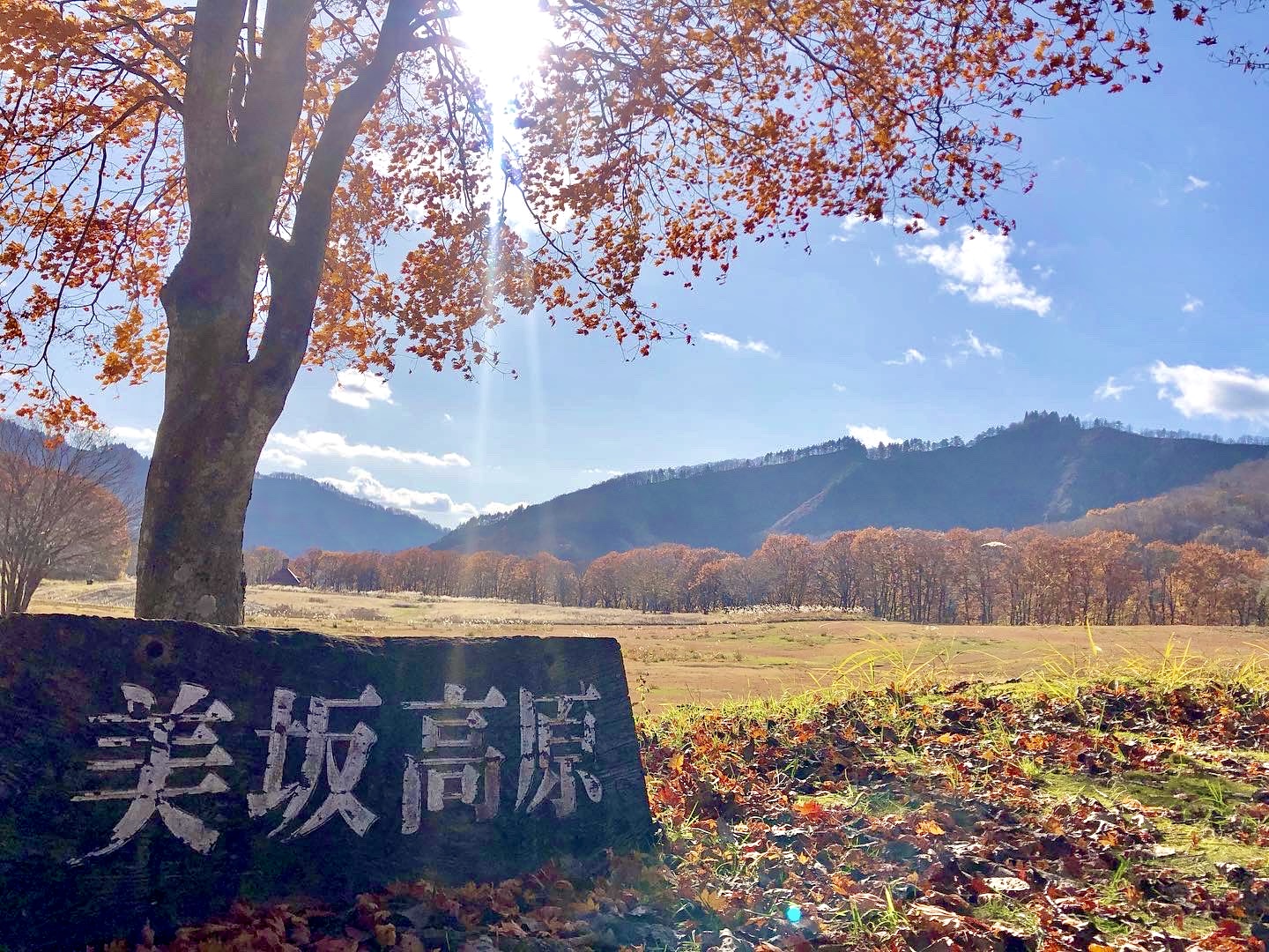 美坂高原の画像
