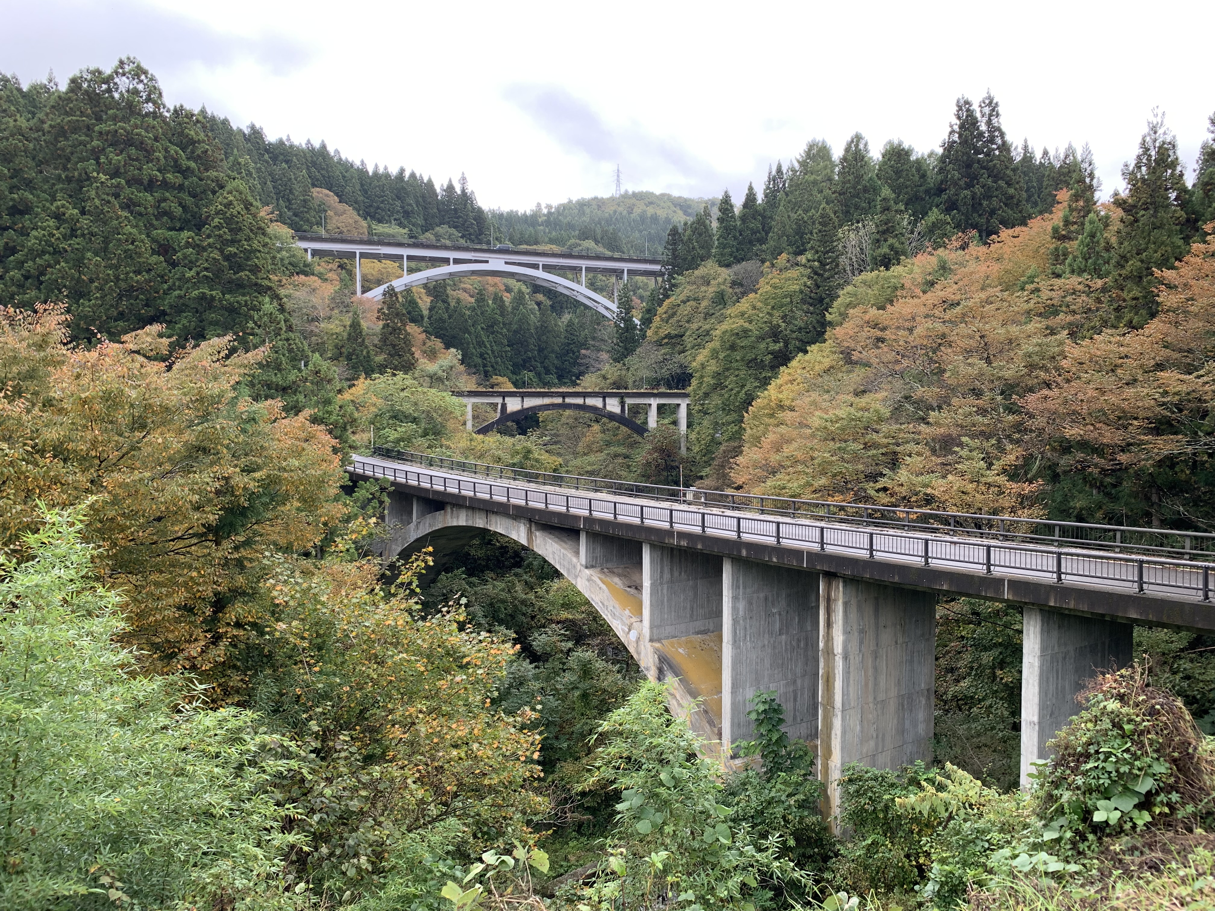 アーチ3兄弟の画像