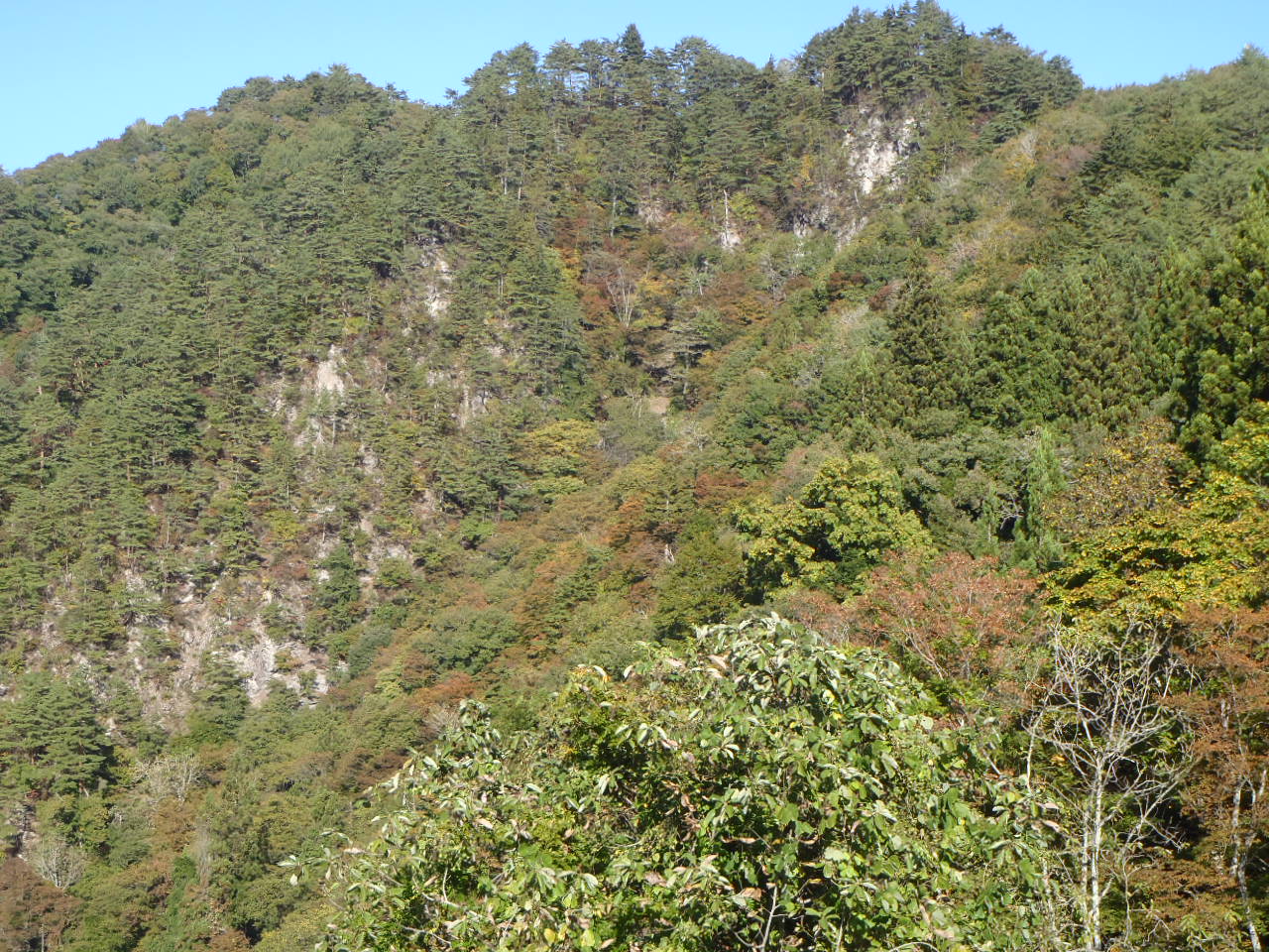 丸山城址の画像