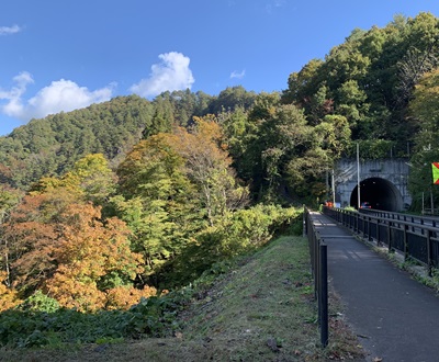 紅葉10月26日-1