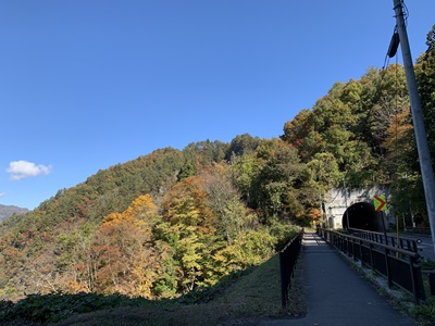 紅葉10月31日-1