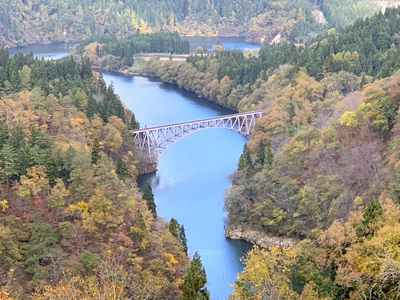 紅葉11月8日-3