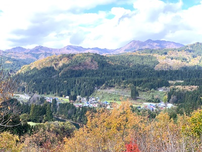 紅葉11月8日-4
