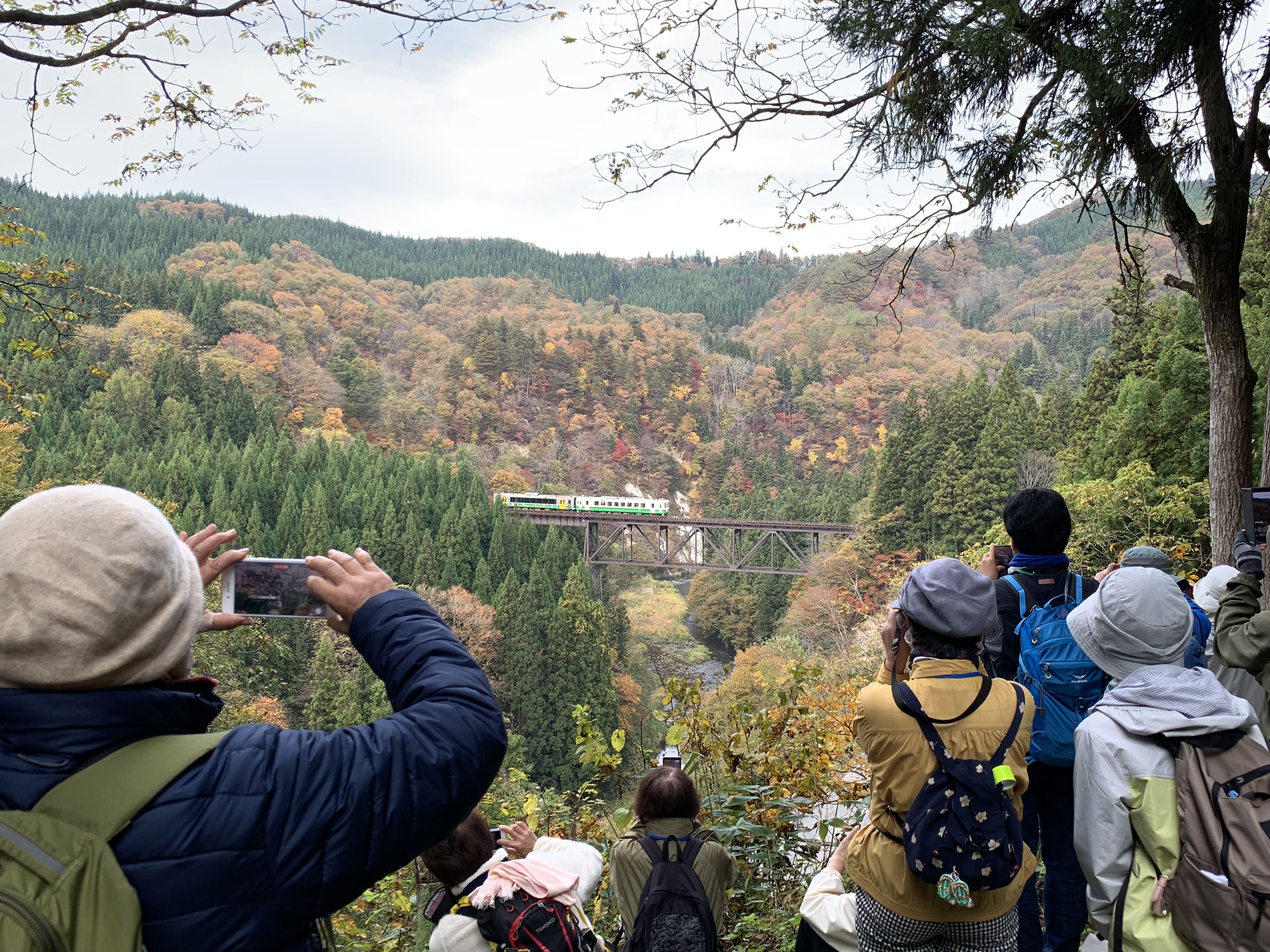 滝谷川橋梁ビューポイントの画像