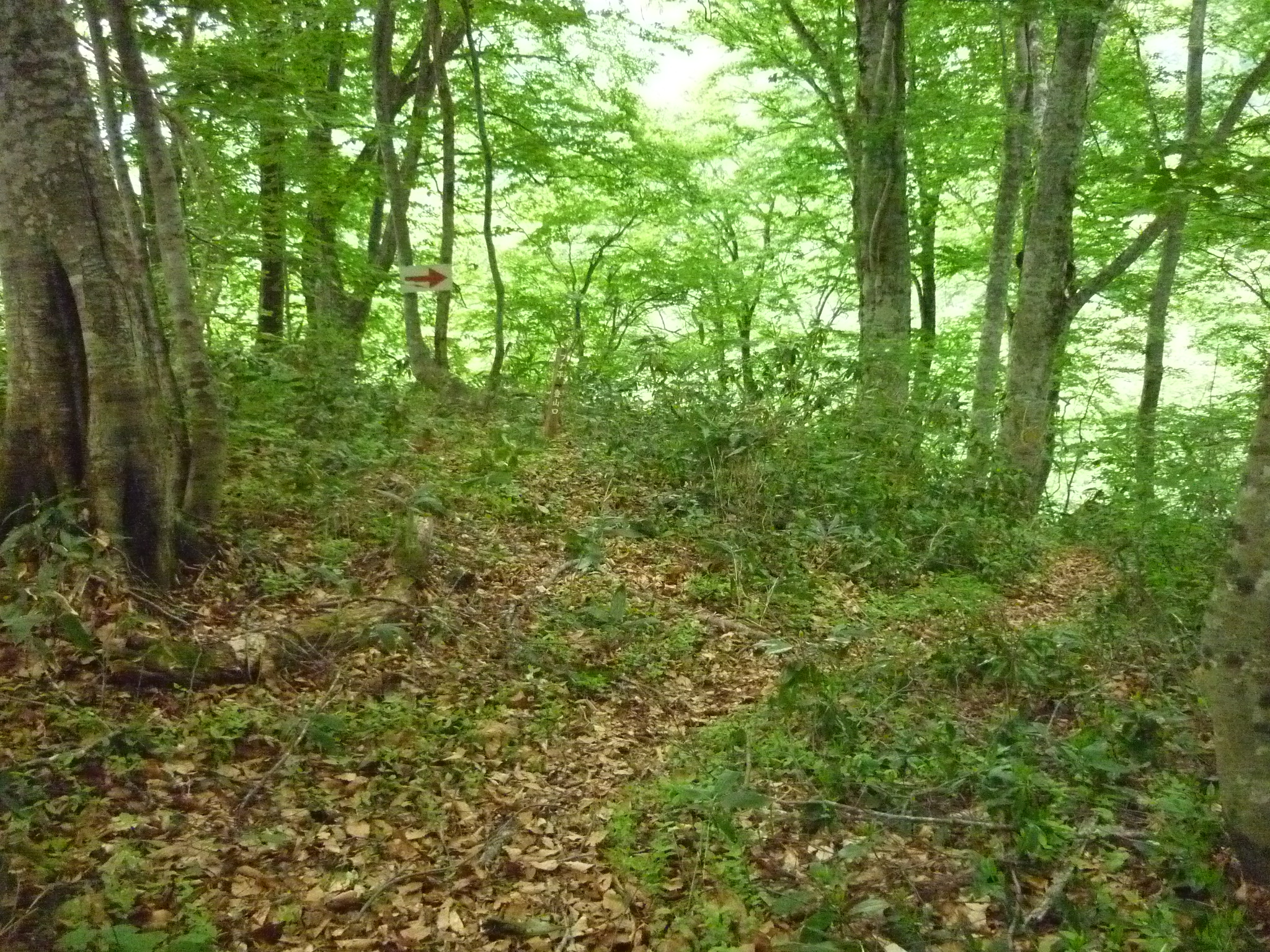 大辺山の画像