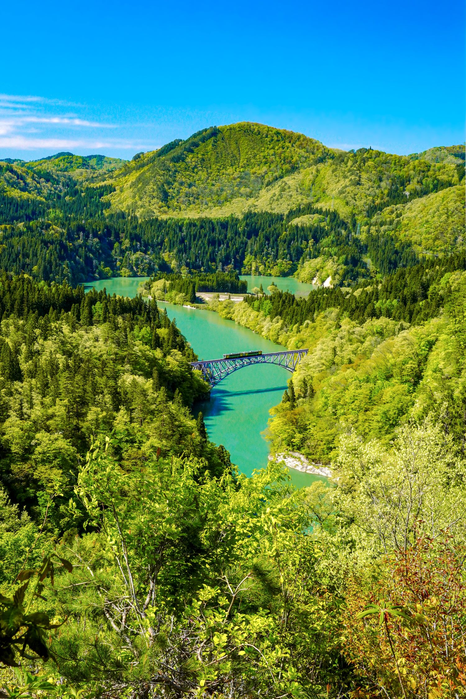 第一橋梁春の画像