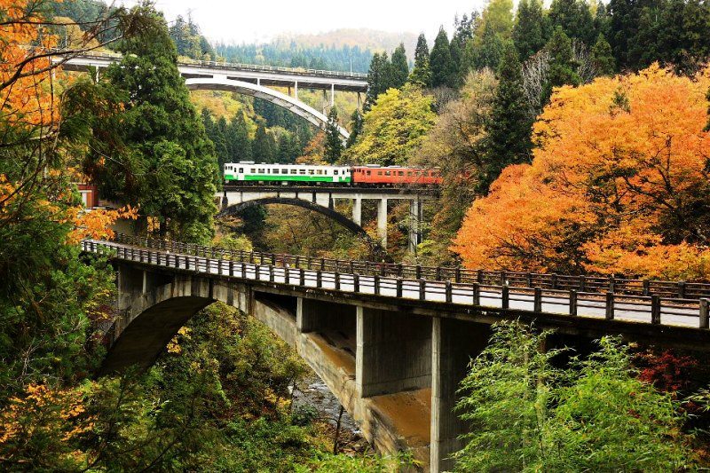 アーチ3兄弟秋の画像