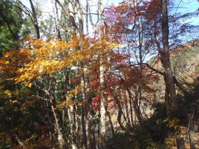 ビューポイント入口階段の画像