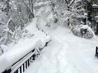 遊歩道雪道1
