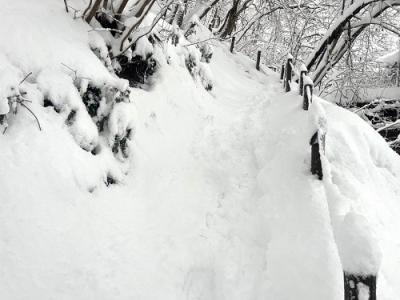 遊歩道雪2