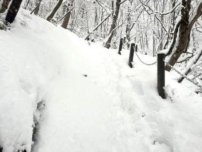 遊歩道雪3
