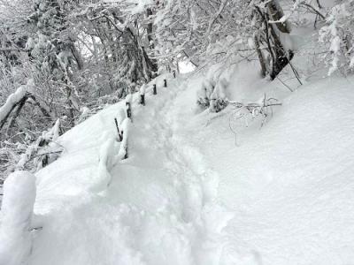 遊歩道雪4