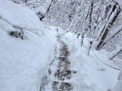 遊歩道雪6