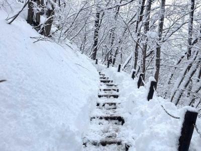 遊歩道雪7