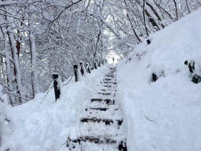遊歩道雪8