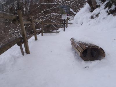 ビューポイントB地点の画像
