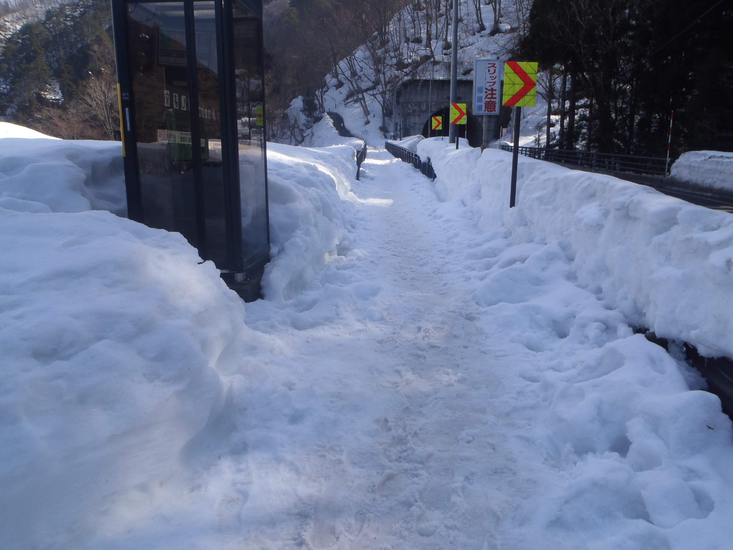ビューポイント入口へ続く遊歩道の画像