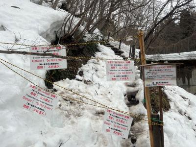 ビューポイントC地点への階段の画像
