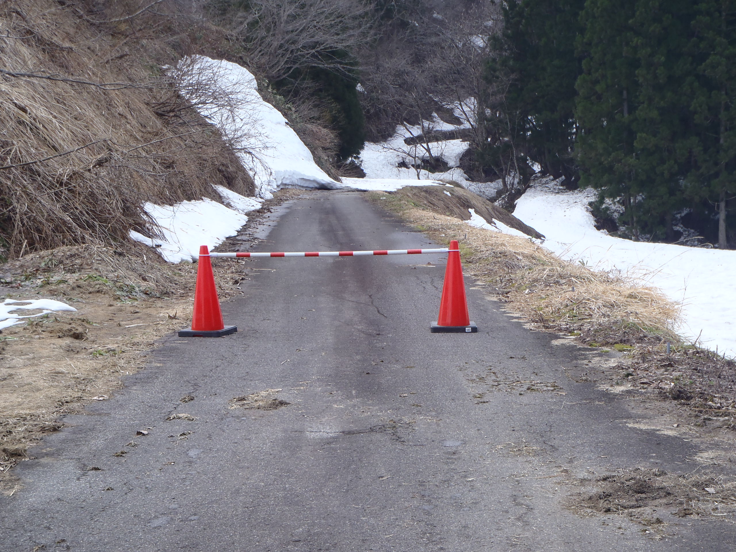 県道１５３号通行止めの画像