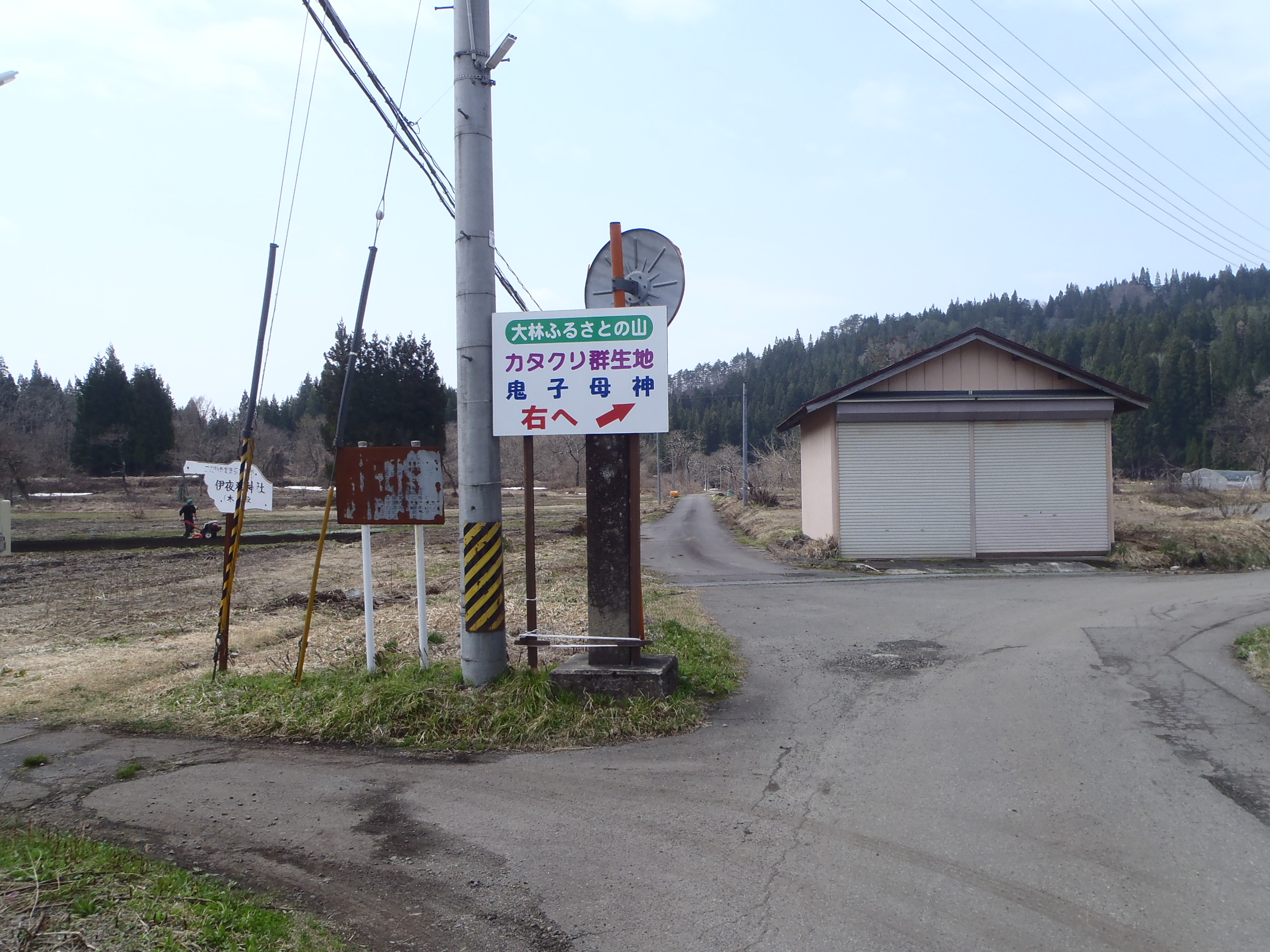 大林案内板の画像