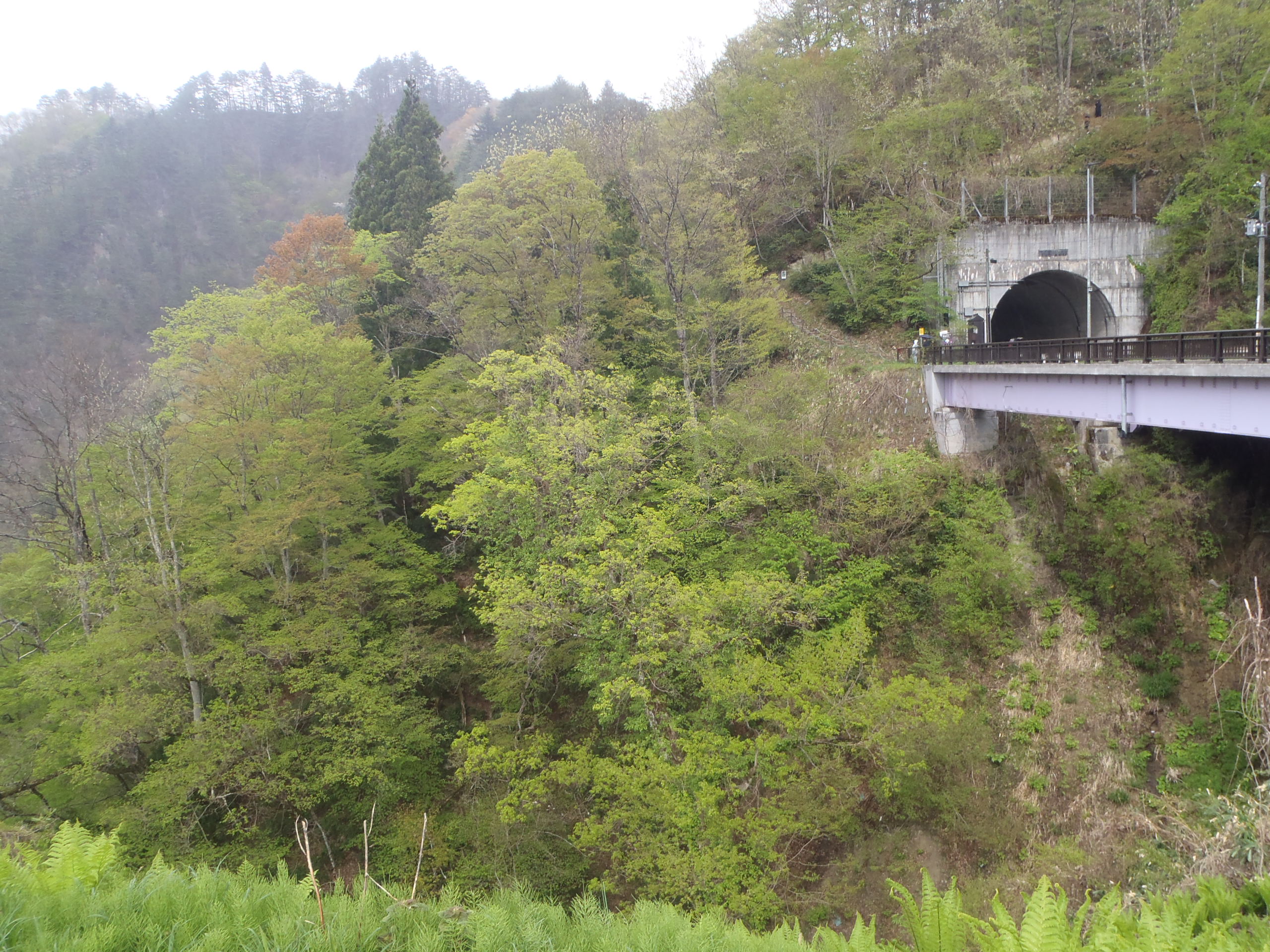 ビューポイント遊歩道の画像