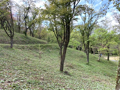 大林50303