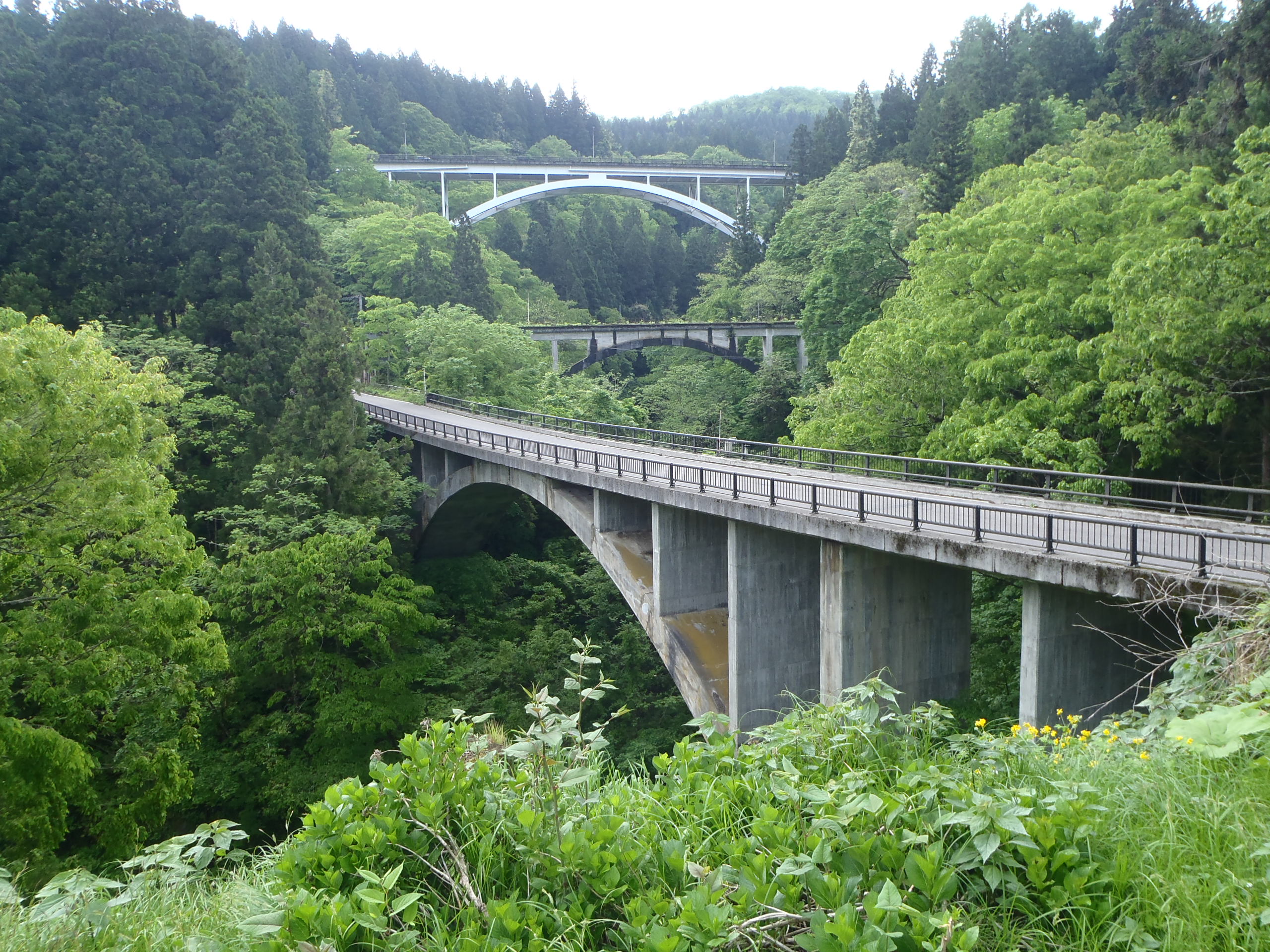 アーチ３兄弟の画像1