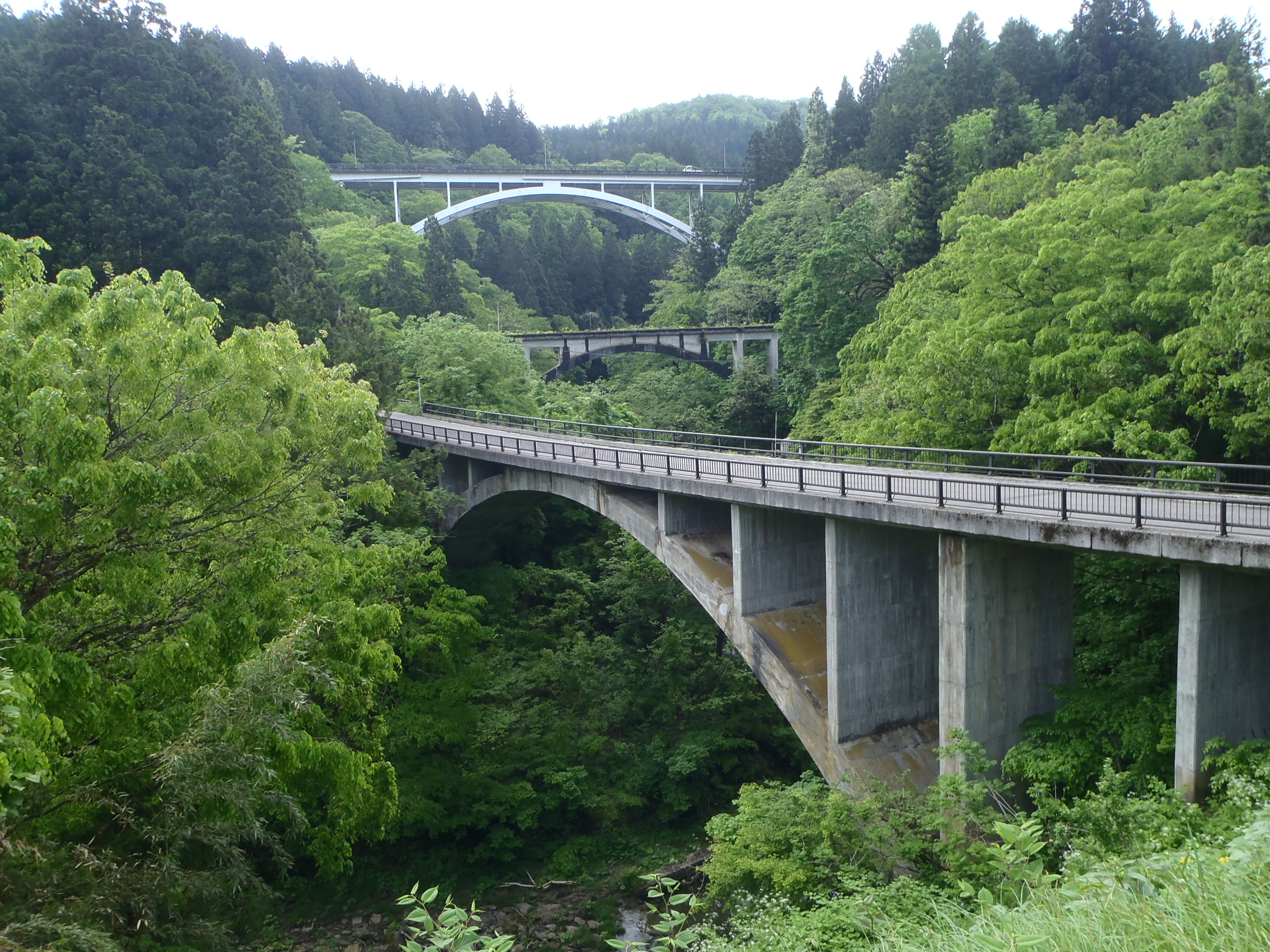アーチ３兄弟の画像2