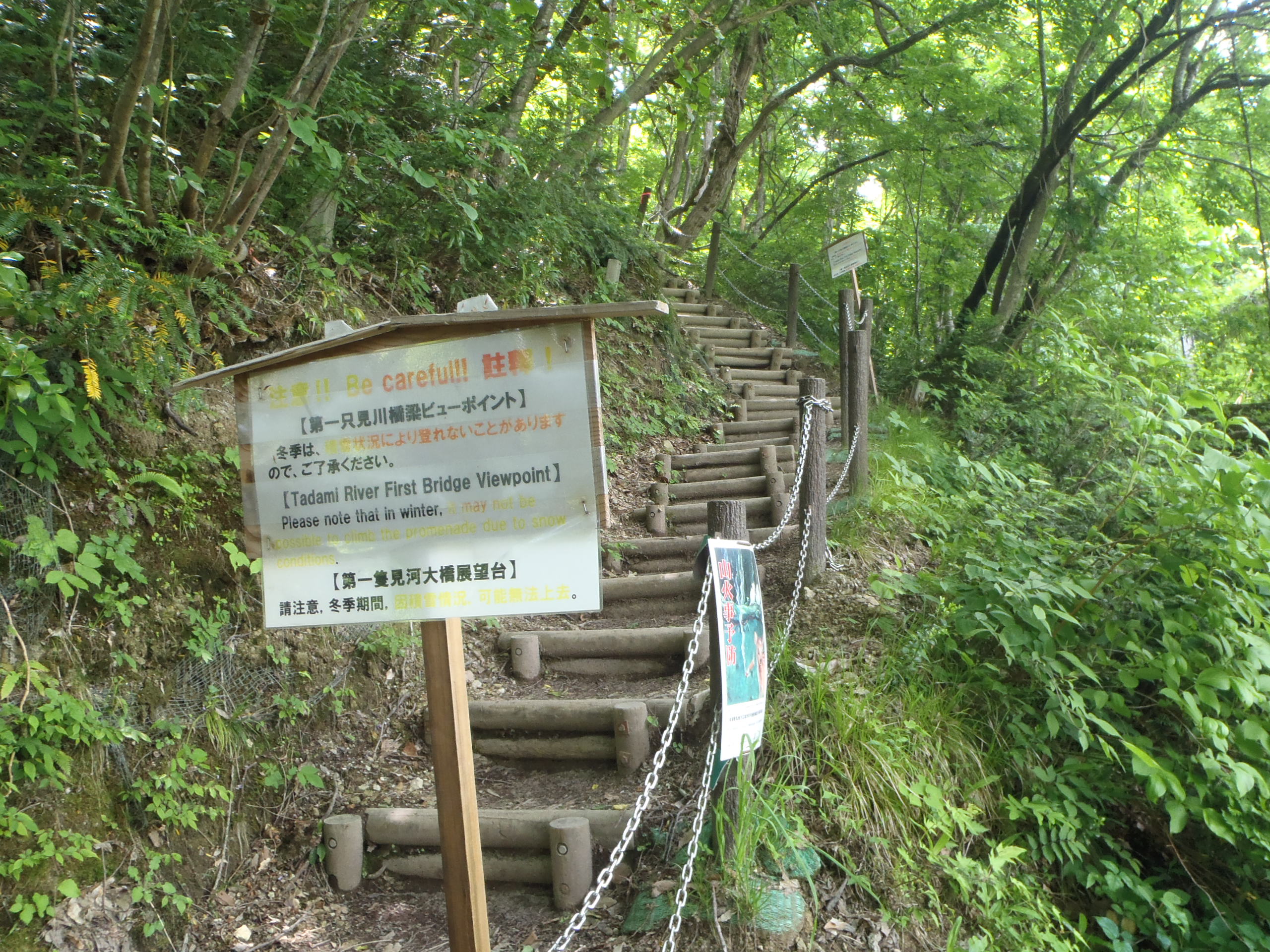 ビューポイントC地点へ向かう階段の画像