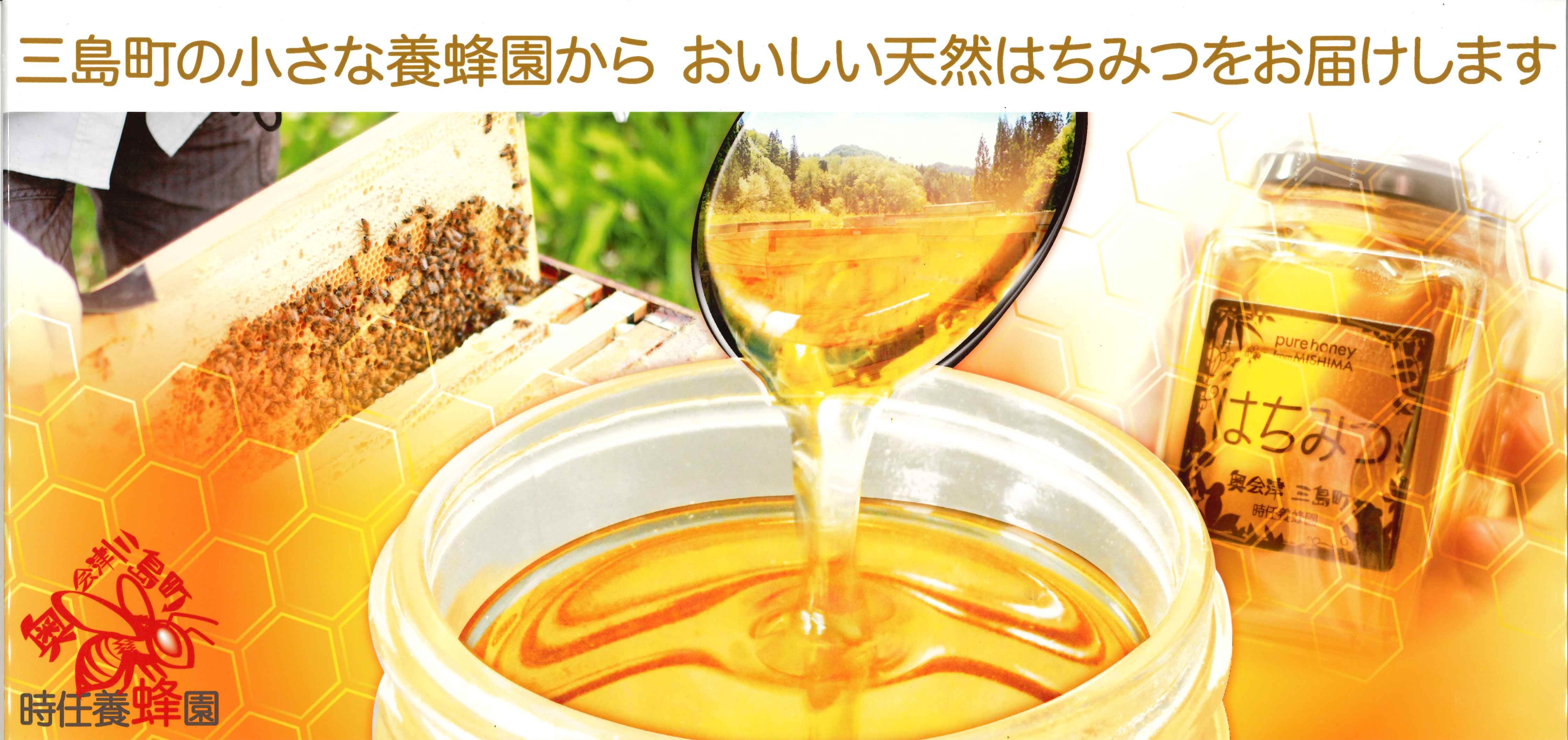 はちみつパンフレットの画像