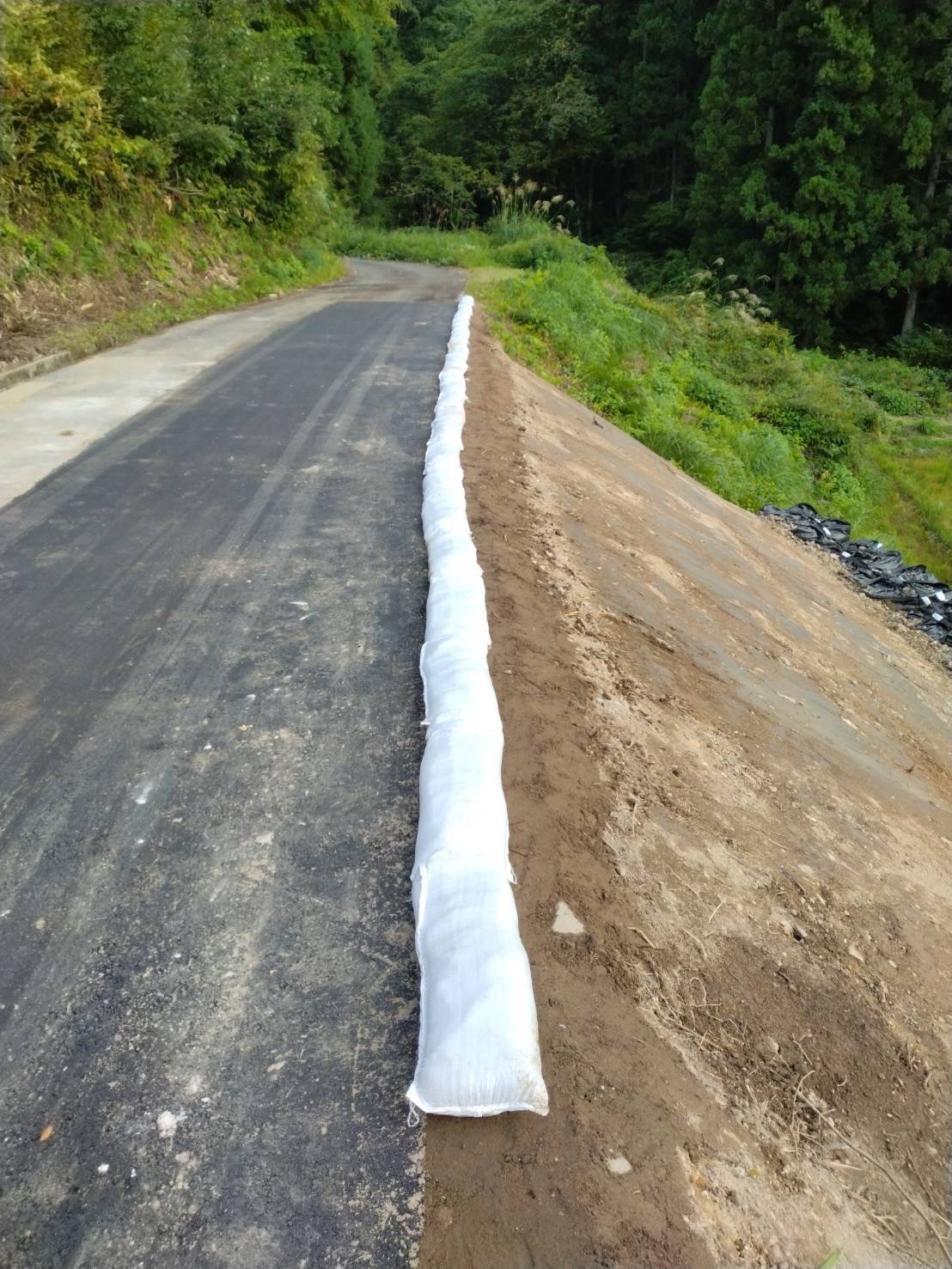 林道入間方不動沢線通行止め解除のお知らせの画像1