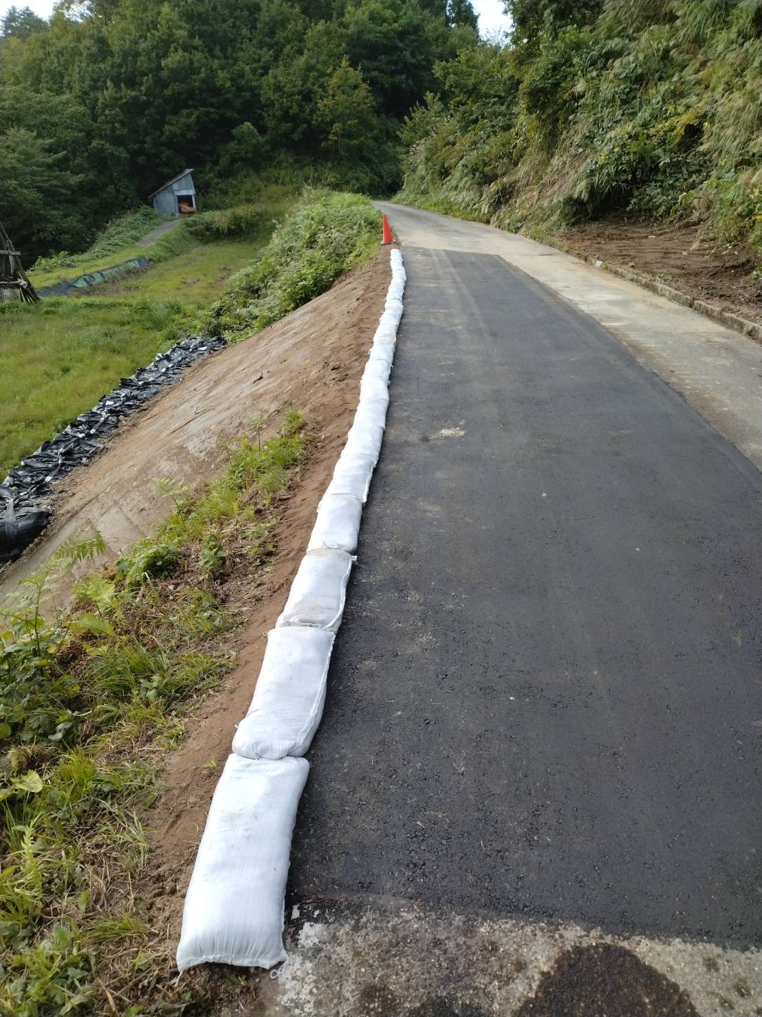 林道入間方不動沢線通行止め解除のお知らせの画像2